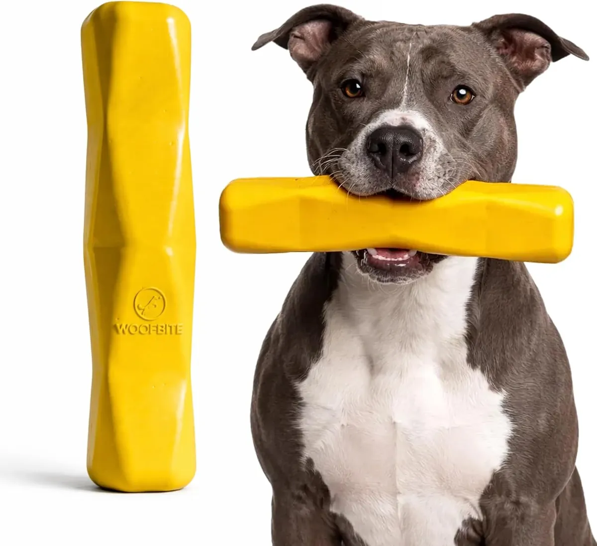 Giant XL Virtually Indestructible Dog Stick