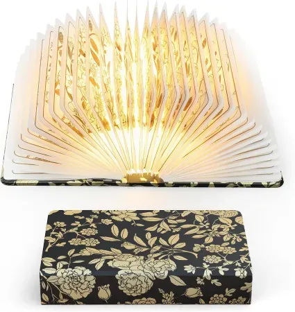 ZBOLE Folding Book-Shaped LED Desk Lamp