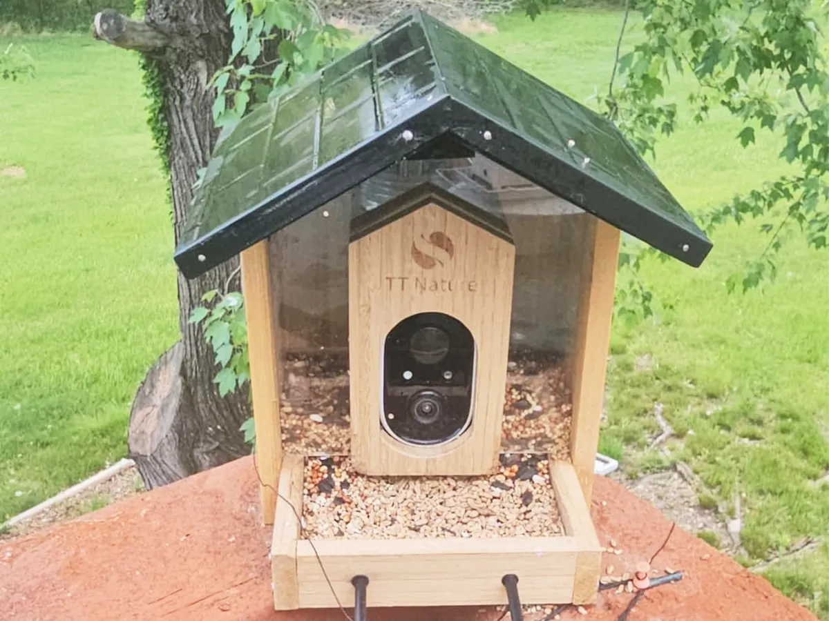 Smart Bird Feeder with Camera