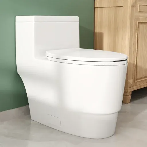 Forious 17" ADA Comfort Height Dual-Flush Elongated One-Piece Toilet
