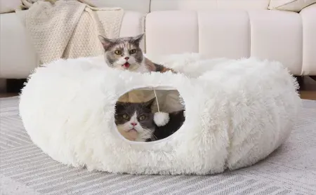 Walnest Donut Cave Cat Tunnel with Bed