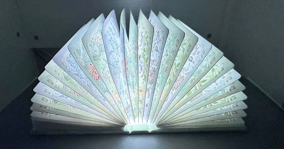 Rechargeable Book Lamp