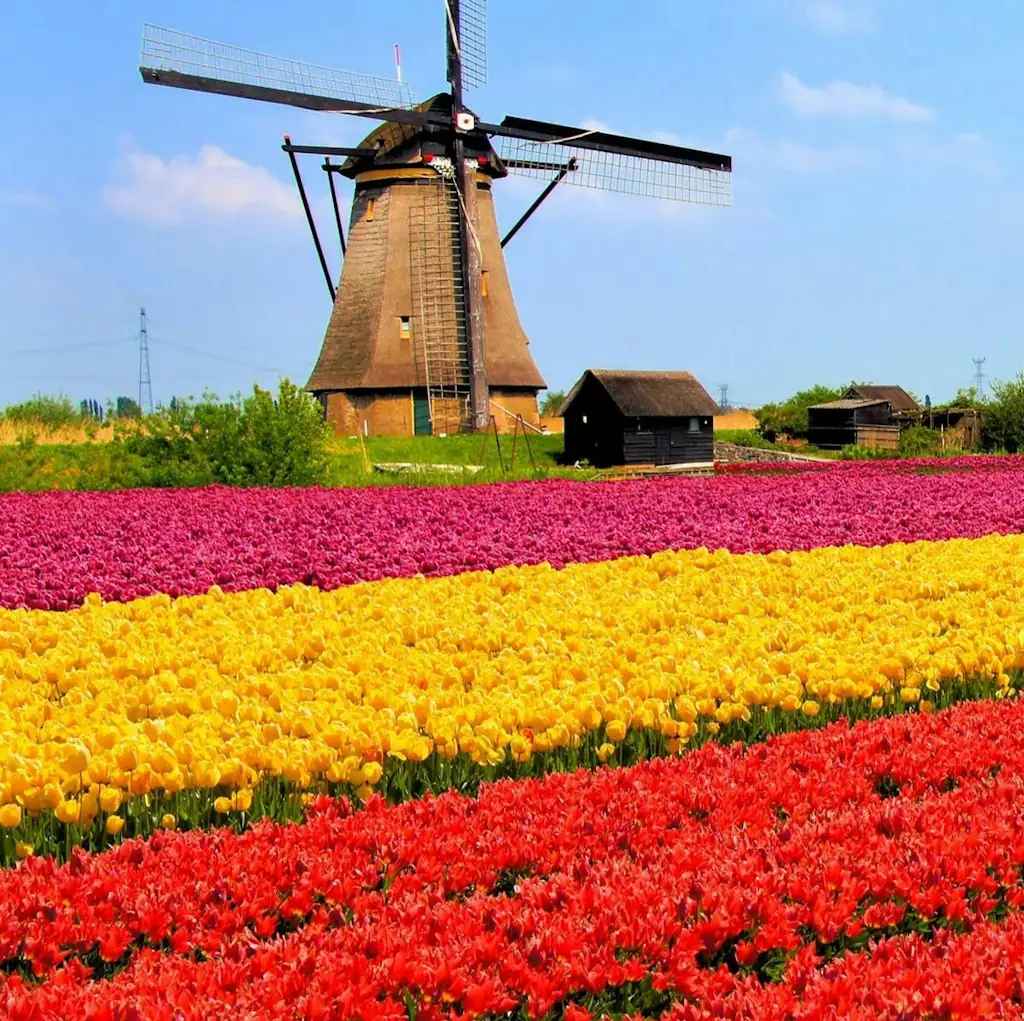 Avalon Waterways 7-Night Tulip Time River Cruise for From $8,652 for 2