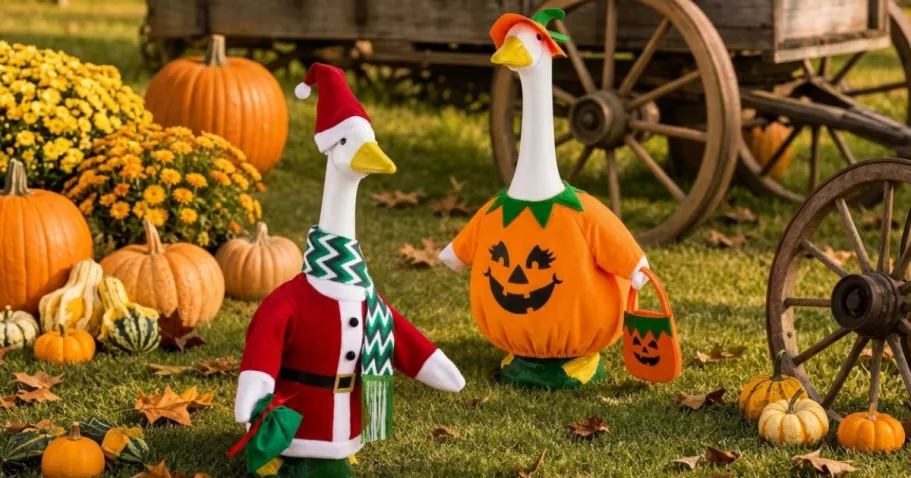 Porch Goose Halloween & Christmas Outfit 2-Pack