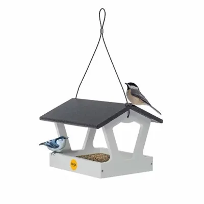 Bird Choice 7" Modern Farmhouse Fly Thru Bird Feeder
