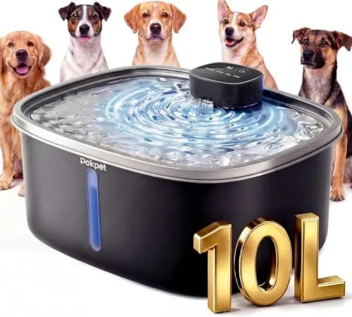 Pokpet Wireless Stainless Steel Pet Water Fountain