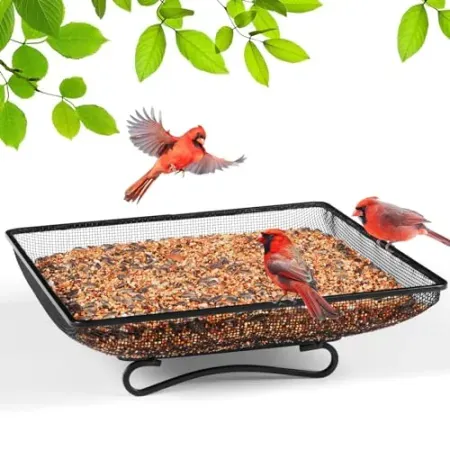 MIXXIDEA 11" x 11" Ground Bird Feeder Tray