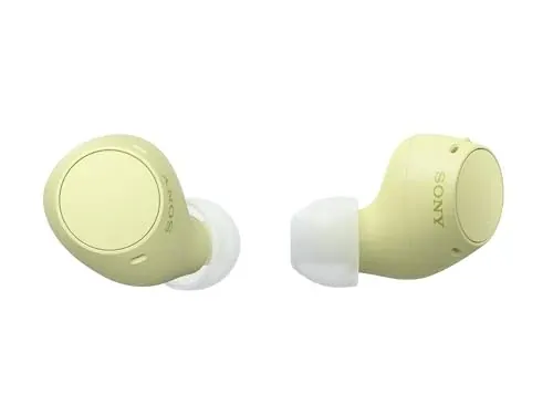 Sony Wireless Noise Canceling Over-Ear Headphones