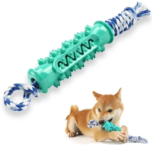 Dog Chew Toys Toothbrush Toy with Rope