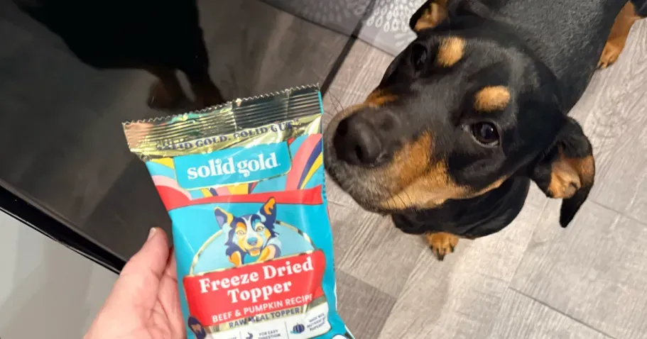 Solid Gold Dog Food Meal Topper 1.5oz
