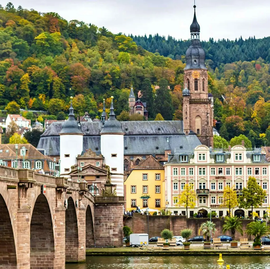Scenic 7-Night Rhine Highlights River Cruise for From $8,894 for 2