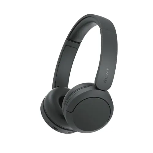 Sony WH-CH530 Wireless Headphones w/ Microphone