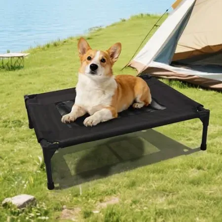 Moysoon 32" x 24" Elevated Dog Bed