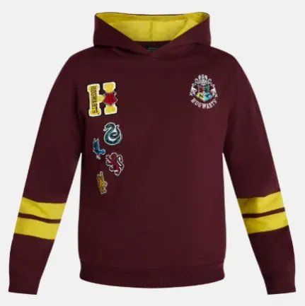 Harry Potter Men's Crest Houses Graphic Hoodie
