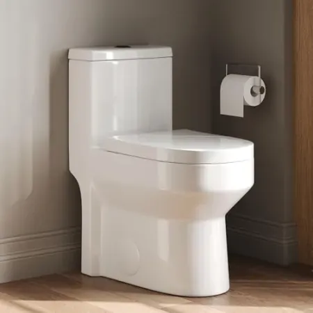 DeerValley Compact Dual-Flush One Piece Toilet