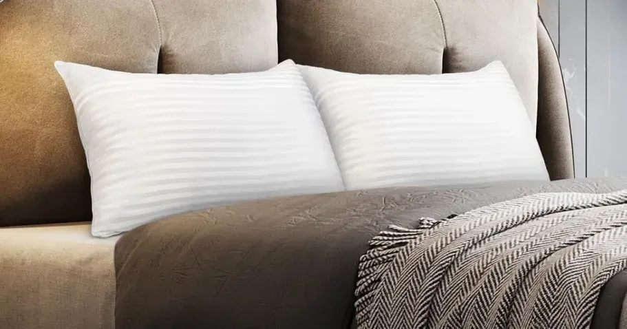 Queen Bed Pillow 2-Pack