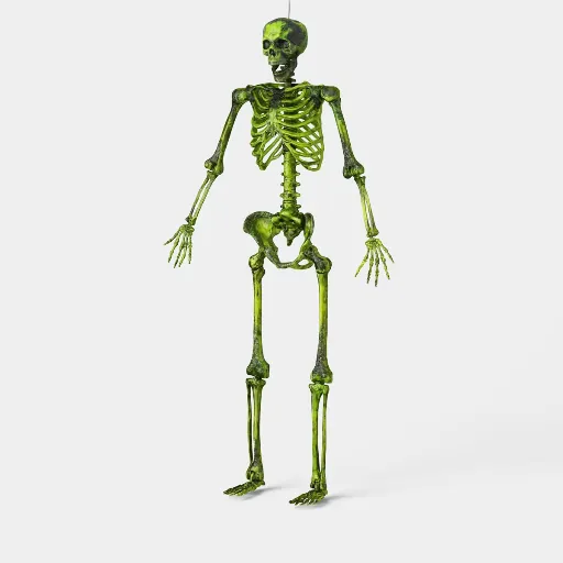 60" Pose-N-Stay Large Poseable Skeleton Halloween Decorative Prop by Hyde and EEK! Boutique