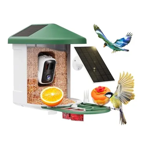Smart Bird Feeder with Camera - AI Identify Birds Species