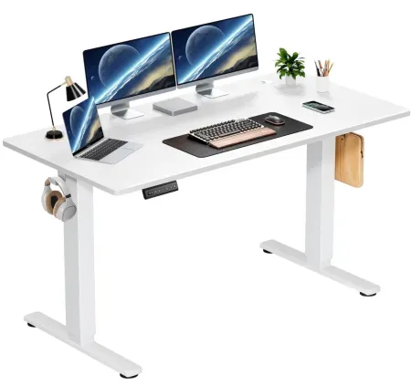 EDX Electric 55" x 24" Standing Desk