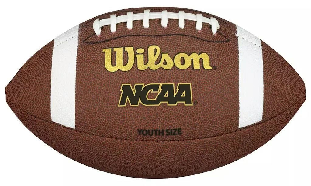 Wilson TDY Pattern Composite Youth Football