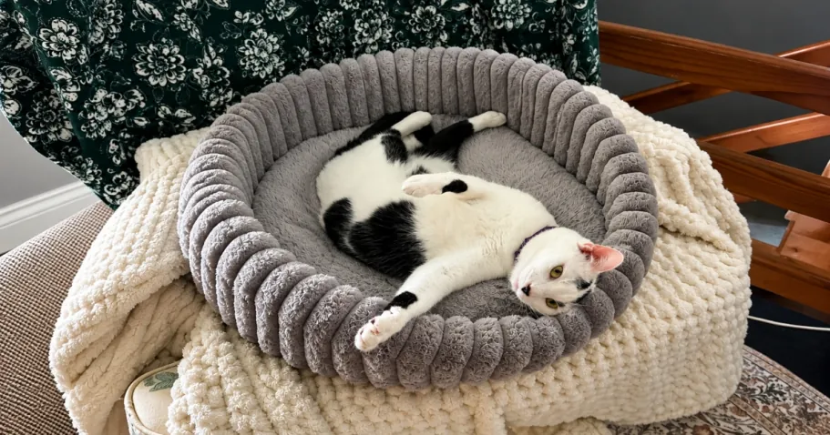 Cat Bed in Grey