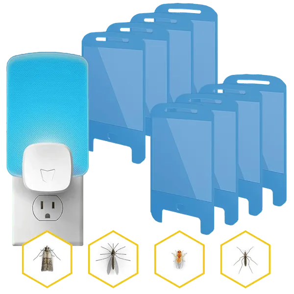 Raid Essentials Flying Insect Light Trap 10-Piece Set
