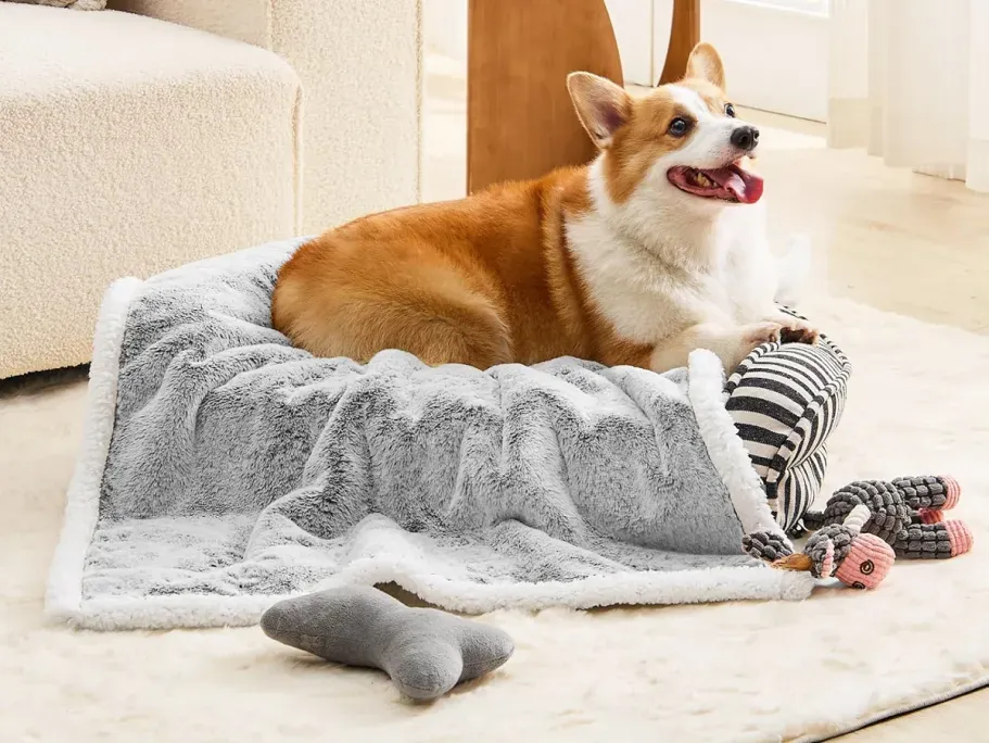 Waterproof Sherpa Dog Blanket