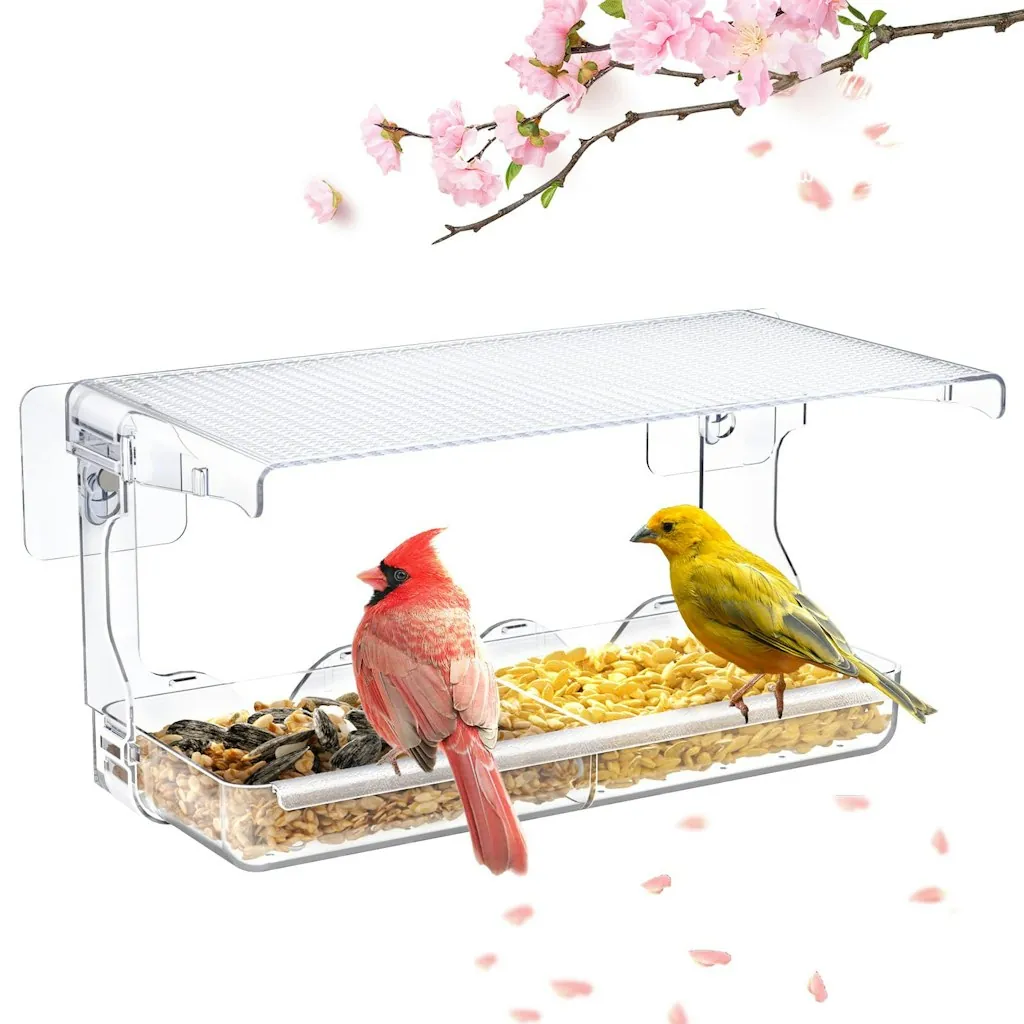 Clear Window-Mounted Bird Feeder