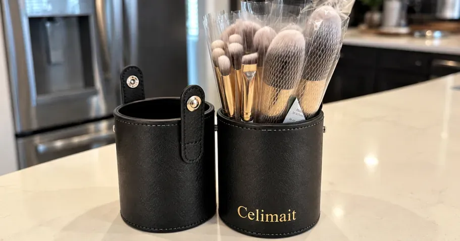 Makeup Brush 12-Piece Set w/ Case