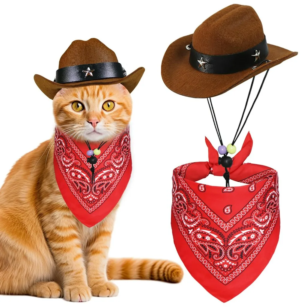 Cat Cowboy Costume