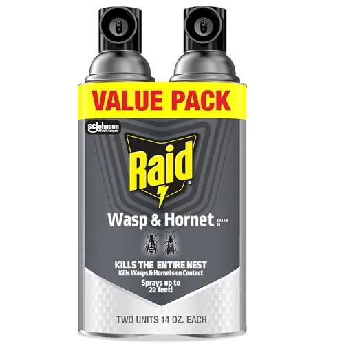 Raid Wasp & Hornet Killer Bug Spray 2-Pack 14-Oz