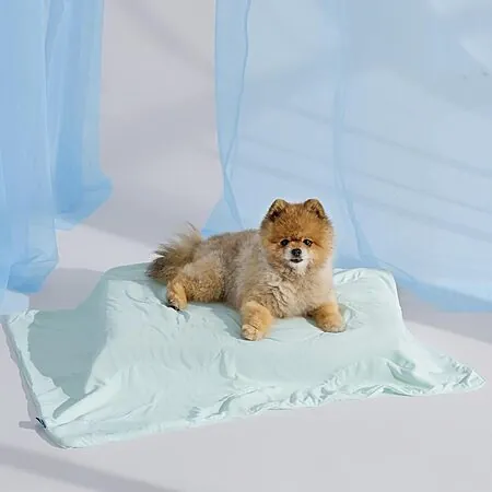 Prime Members: Bedsure Lightweight Cooling Blanket for Cats & Dogs