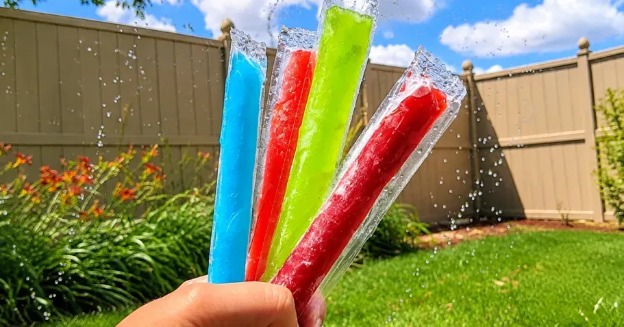 Freezer Pops 40-Count Variety Pack