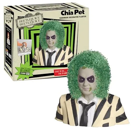 Chia Pet Beetlejuice Decorative Pottery Planter