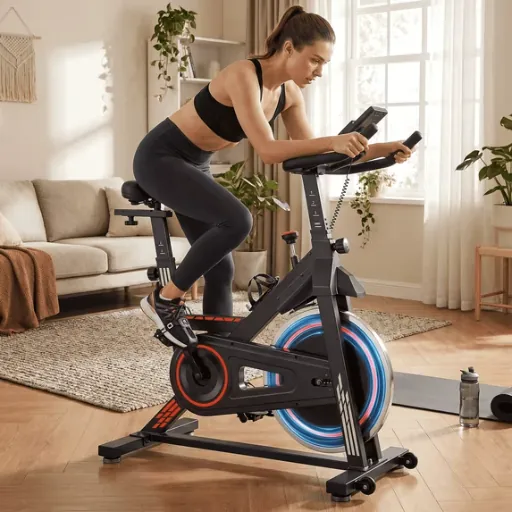 Naipo Indoor Cycling Bike with 300lbs Capacity