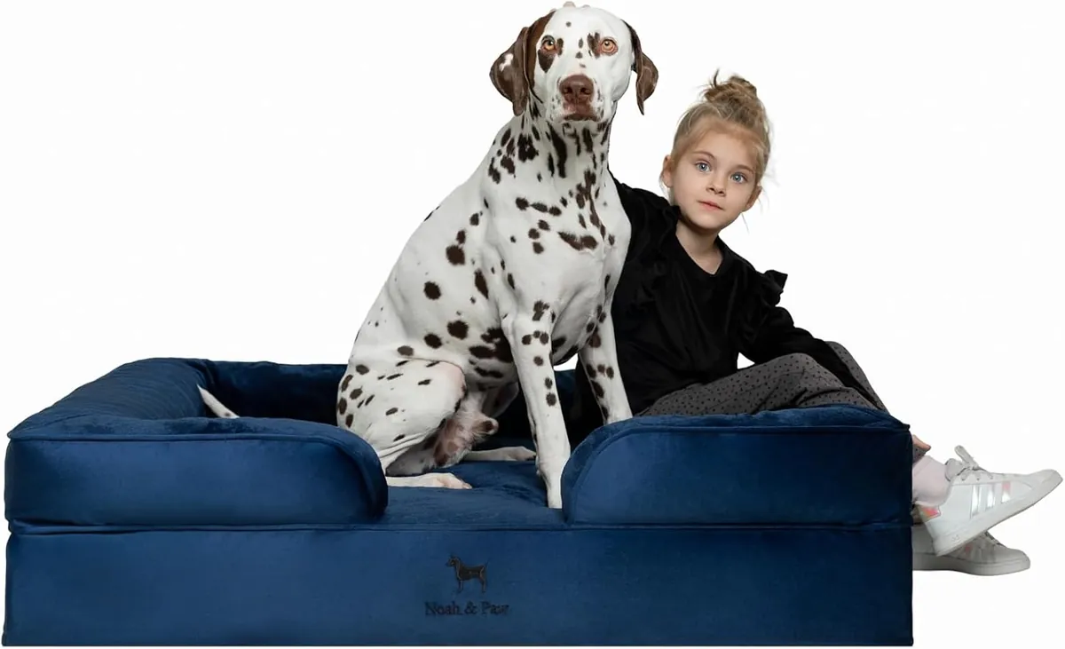Noah and Paw XL Dog Bed