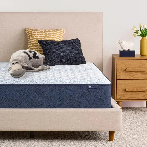 Serta Sleeptrue Firm 12" Queen Memory Foam Mattress in a Box