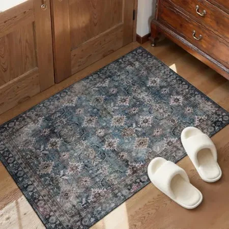 Arvenchy 2' x 3' Small Vintage Entryway Rug