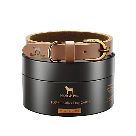 Noah & Paw Oil-Wax Genuine Leather Dog Collars (Various)