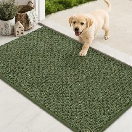 COSY HOMEER 17" x 30" Non-Slip Door Mat