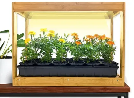 Ferry-Morse Modern Indoor Bamboo LED Growhouse w/ Timer