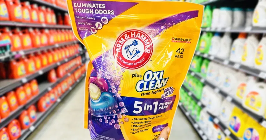 Arm & Hammer Power Paks 42-Count
