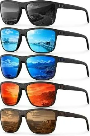 Polarized Sunglasses 5-Pack
