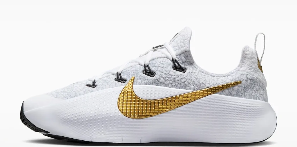 Nike Men's LeBron TR 1 Workout Shoes