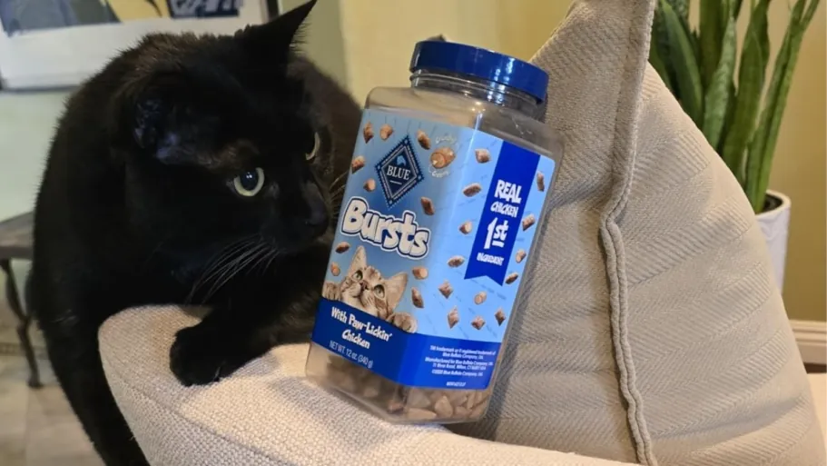 Blue Buffalo Bursts Chicken Treats 12oz