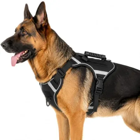 PETNOME Tactical No-Pull Dog Harness with Handles