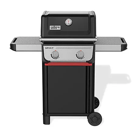 Weber 2-Burner Spirit E-210 Propane Gas Grill