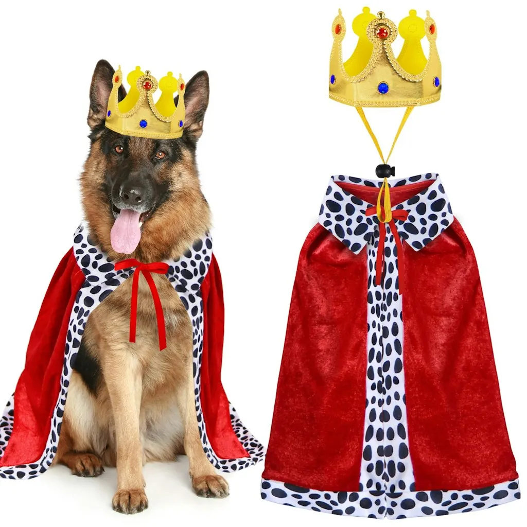 Dog King Cloak & Crown Halloween Costume Set