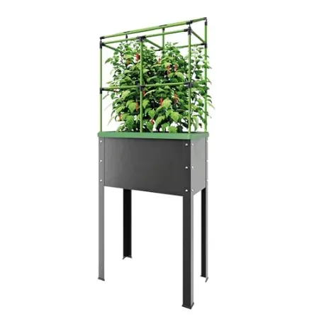 BioGreen Raised Garden Bed with Trellis Heidelberg