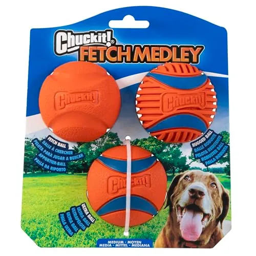Chuckit! Fetch Dog Balls 3-Pack